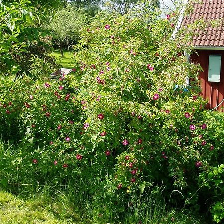 Langesater B&B Lerdala 외부 사진