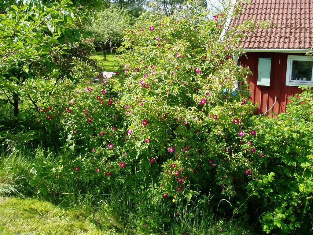 Langesater B&B Lerdala 외부 사진